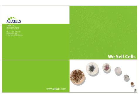 Folder Design Images