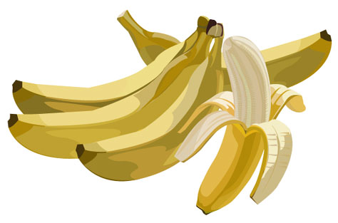 Food Illustration