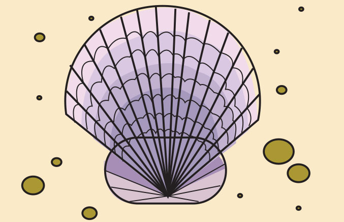 Shell color contrast example