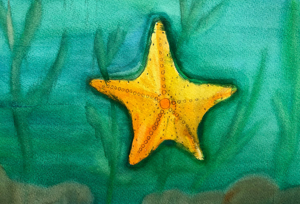 Mark Starfish artwork full size